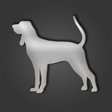 Black & Tan Coonhound Silver Acrylic Mirror