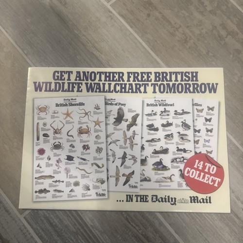 Wildlife wallchart british - -,