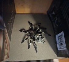 Spider ornament Skull Spider