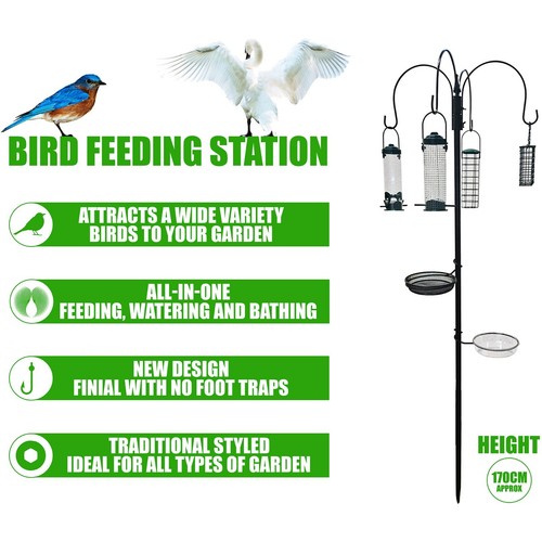 Wild bird garden feeding - bird,