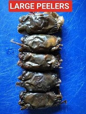 (5) PER PACK DELUNGED SOFT SHELL PEELER CRAB 