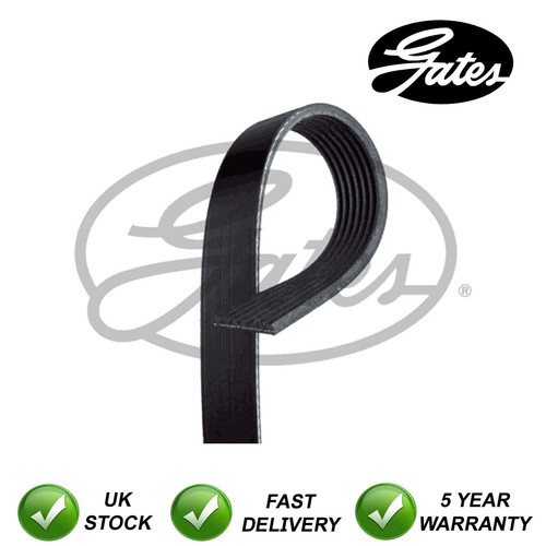 Gates ribbed belts fits - fits, land