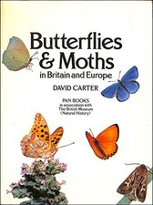Butterflies and Moths in Britain and Europe by Carter, David Paperback Book The