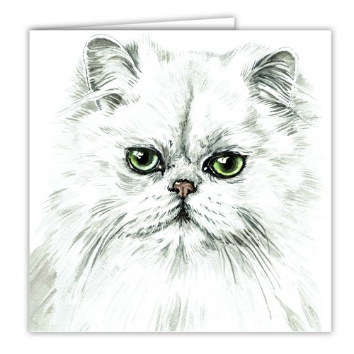 Persian cat greetings card - cat,