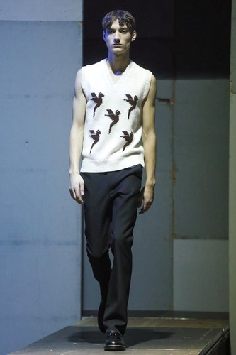 Raf simons aw15 bird intarsia - simons,