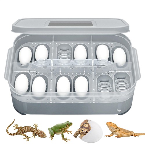 Holes reptile egg hatcher - egg,