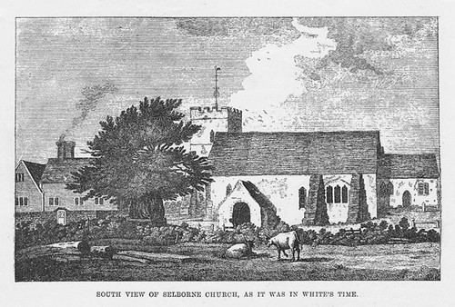 Selborne south view - selborne,