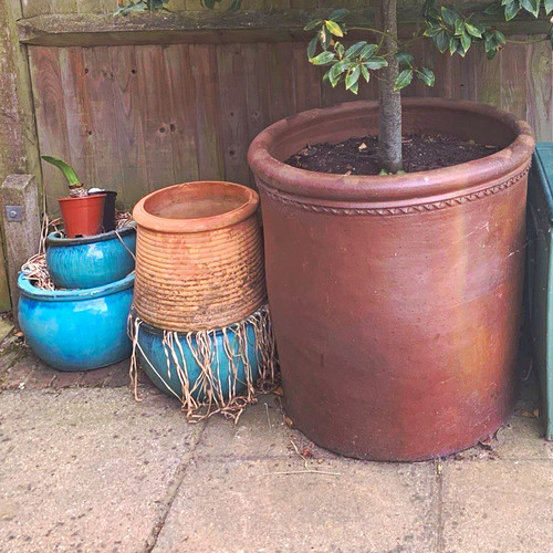 Large brown 75cm - large,