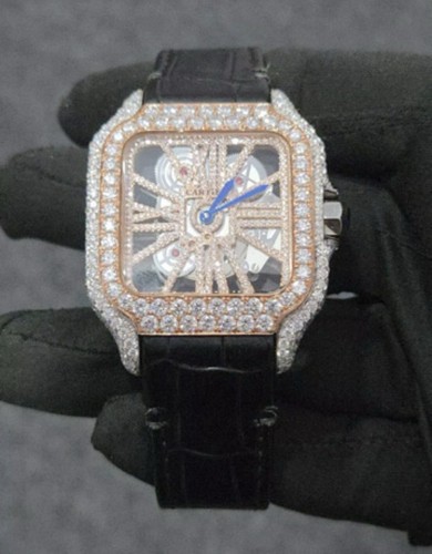 The cartier santos skeleton - cartier,