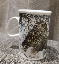 Owls - Little Owl Dunoon Fine