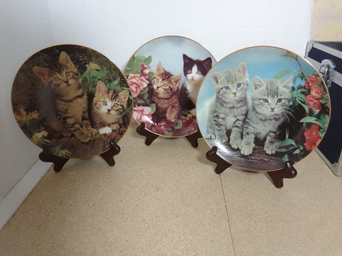 Decorative wall plates - decorative,