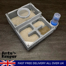 Ant farm flat independent - ant,