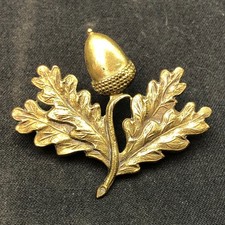 South Nottinghamshire Hussars