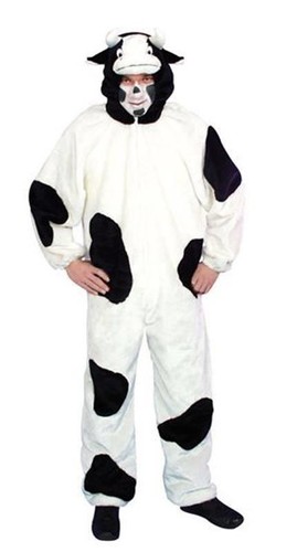 Funny cow adult - funny, animal