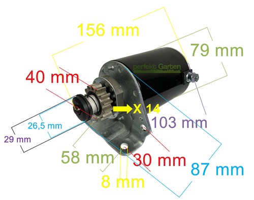 Starter tooth 12v - starter,