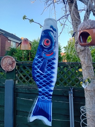 New japanese koinobori carp - koinobori,
