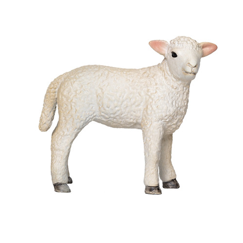 Mojo romney sheep lamb - sheep,