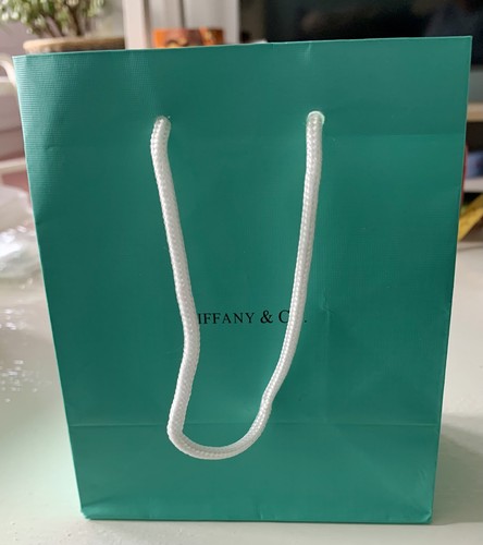 Tiffany blue gift bag - ,