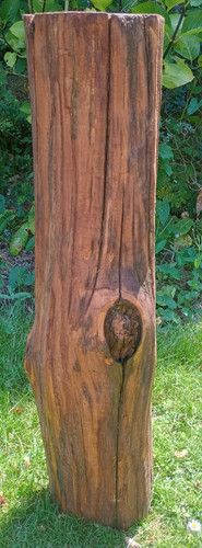 Tree stump table - , hardwood