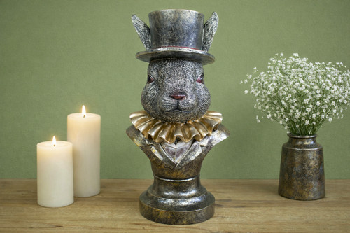 Dapper rabbit wearing - dapper, hat