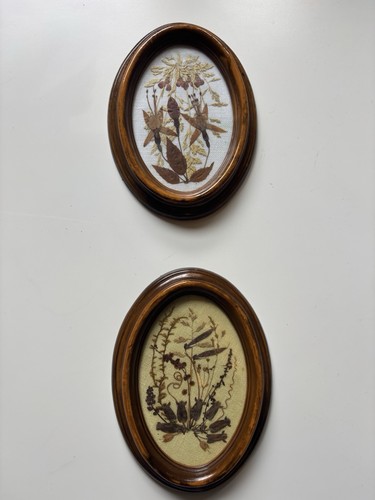 Vintage dried flower artwork - vintage,