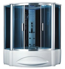 Steam shower wellness shower