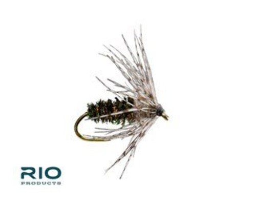 Rio flies partridge - rio,
