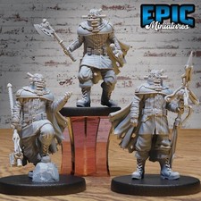 Iron Mind Warrior Bandit Dungeons and Dragons Miniature D&D, Fantasy Miniatures
