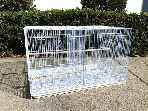 Large aviary breeding - aviary,