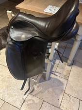 Ideal Jessica Brown Dressage