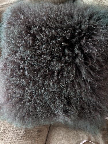 Stunning curly mongolian wool - curly,