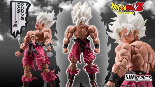 Limited chance shf - limited,