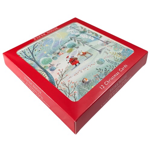 Box santa reindeer - box, 12