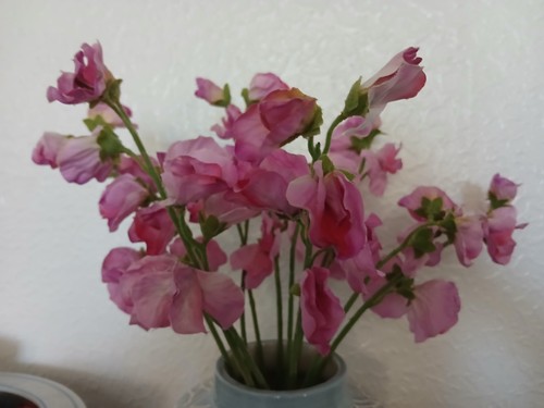 Artificial sweet pea flowers - pea,