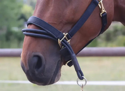 Elite ezyloader head collar - km,