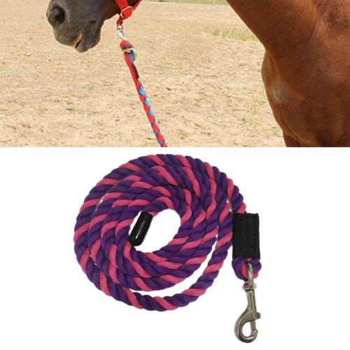 Horse lead rope - horse,
