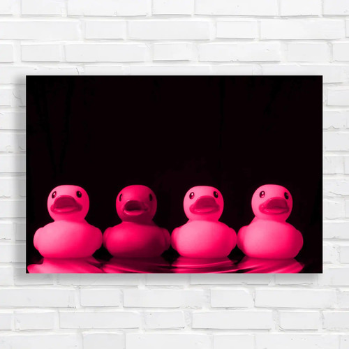 Rubber ducks for fun - ducks, a