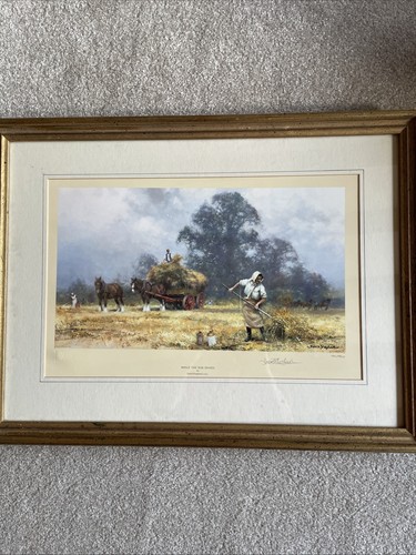 David shepherd while - shepherd, sun