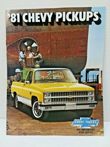 1981 chevrolet pickup truck - 1981,