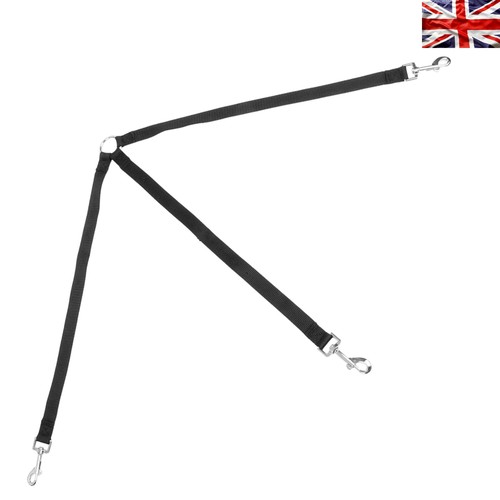 Triple dog lead with - dog,