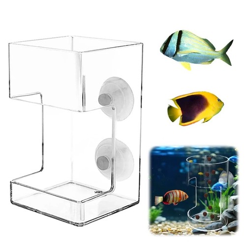 Aquarium feeding fish tank - feeding,