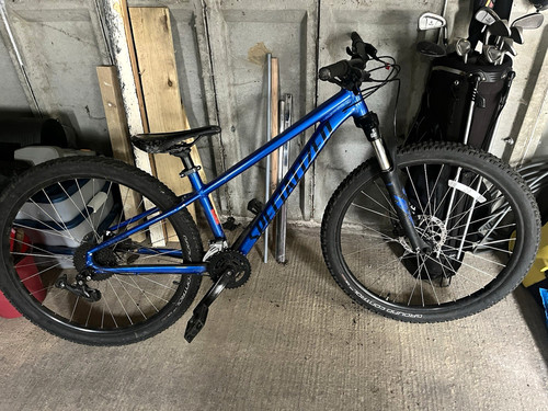 Specialized rockhopper 29in - specialized,