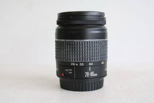 Canon 80mm 5 - canon, ii