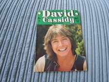 Official David Cassidy