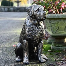 Stunning Life-Size St Bernard Puppy Sculpture - Aluminium Outdoor Ornament