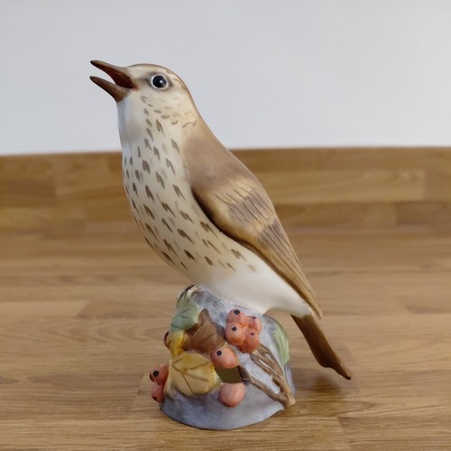 Vintage royal worcester - vintage,