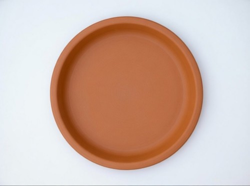 21cm terracotta plant saucer - terracotta,