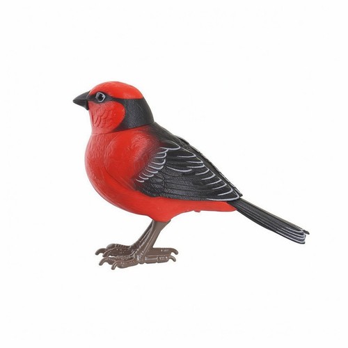 Singing bird toy - singing,
