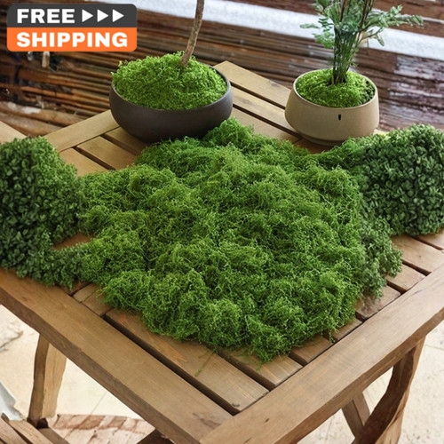 200g fake moss - 200g, faux