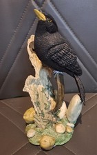 Regency Fine Arts Limited Edition,  Blackbird   1307 Out Of 25000